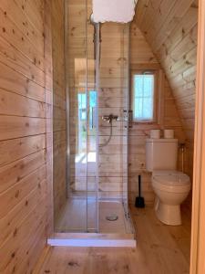 a bathroom with a shower and a toilet at Agriturismo Nonno Mario in Fossone dʼAdige