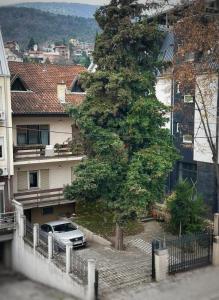a car parked in front of a large tree at Luxury Apartment with parking space in Vodno