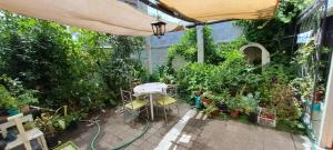 an outdoor patio with a table and a lot of plants at Ñuñoa Sunrise B&B in Santiago