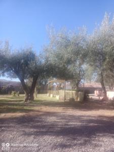 a park with a swing set under a tree at Les délices d Aya in Tahannout