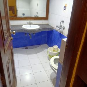 a bathroom with a sink and a toilet at hotel geet deluxe in New Delhi