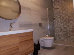 een badkamer met een toilet, een douche en een spiegel bij Villa Hekim in Bodrum City