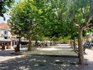 Zdjęcie z galerii obiektu Appartement 2 pièces avec piscine, tennis, pétanque et parking à 2 pas de la plage - Le Lavandou - FR-1-251-457 w mieście Le Lavandou