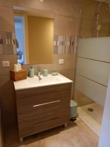 un bagno con lavandino, WC e specchio di Les Myosotis Cavaillon/Petit Luberon a Cavaillon
