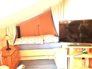 Schlafzimmer mit einem Bett und einem Flachbild-TV in der Unterkunft Reiterhof Aumühle in Oberaula