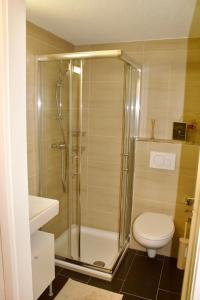 a bathroom with a shower with a toilet and a sink at Apartments zum Bühlhof (Julie) in Zürich