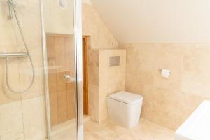 a bathroom with a toilet and a shower at Mattie's Loft in Bletchingley