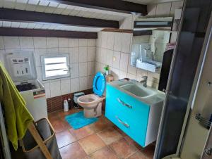 uma pequena casa de banho com WC e lavatório em Appartement d'une chambre avec jardin clos et wifi a Le moule a 1 km de la plage em Le Moule