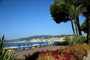 einen Strand mit Stühlen, Palmen und Wasser in der Unterkunft Luxueux appartement à 50 m de la Croisette in Cannes