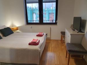 Schlafzimmer mit einem Bett, einem TV und einem Fenster in der Unterkunft Apartman Relax Bjelašnica in Trnovo
