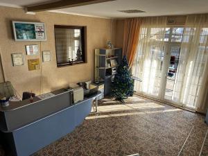 a lobby with a christmas tree in a room at Pensiunea Daiadela in Duşeşti