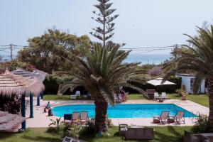 a view of a swimming pool with palm trees and chairs at Dar Oguz in Ḩammām al Ghazzāz