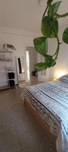 a bedroom with a bed and a potted plant at Chambre charmante chez habitant in Valencia