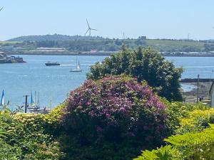 un gran arbusto con flores y un cuerpo de agua en Oakhurst Guesthouse en Cobh