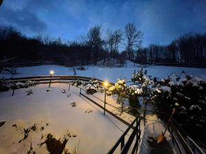 Haus am Bach في Neuwerk: حديقة مغطاة بالثلج ليلا مع وجود أضواء
