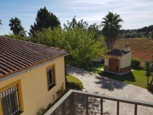 a view of a house and a vineyard at Casa Vitalis in Vilamarxant