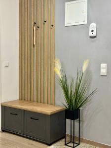 une cabine de douche avec une plante dans la pièce dans l'établissement Nix Apartment - Calea Moldovei, à Bistriţa