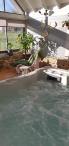 a large jacuzzi tub in a room with at Le Domaine de la petite chèvre in Ploumagoar