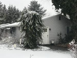a house with a tree in front of it at Cozy Woodbrook Apartment B in Dover