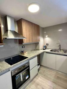 a kitchen with a sink and a stove top oven at Elegante departamento a estrenar 2 Dormitorios in Villa Marini