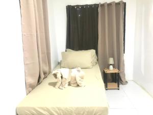 2 cani seduti su un letto in una stanza di Central Hub Homestay a Città di Puerto Princesa