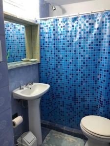 La salle de bains est pourvue de carrelage bleu, de toilettes et d'un lavabo. dans l'établissement Casa Santa Clara del Mar, à Santa Clara del Mar