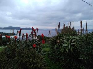 Fotografia z galérie ubytovania Evia Escape v destinácii Vathírrevma