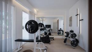 a gym with several tread machines in a room at Ionian Green in Kefalári