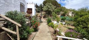 Galeriebild der Unterkunft CORTIJO-LA LOMA in Motril + 21 Fotos