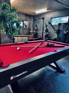 una mesa de billar en un gimnasio con piscina roja en Luxurious Mountain Lodge en Ljørdal