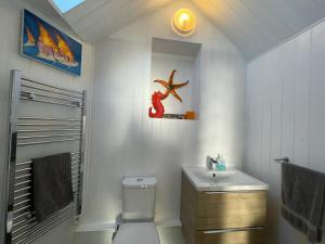 a bathroom with a sink and a toilet and a mirror at Sandown 4 bedroom house St Teath in Saint Teath