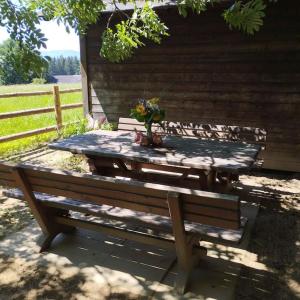 Zahrada ubytování Almhütte