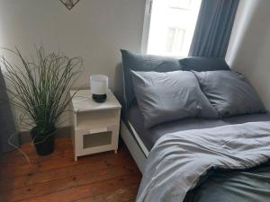 a bedroom with a bed and a table with a plant at Cosy Studio in Brussels