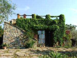 an ivy covered house with a window at Istria Divina in Marezige