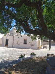 a building with two pots of flowers in front of it at Trulli della Catena in Martina Franca