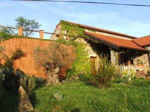 a house with green ivy growing on the side of it at Istria Divina in Marezige