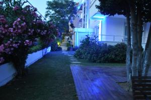A garden outside Island Hotel