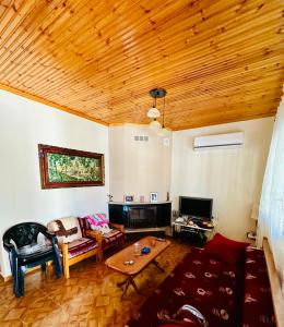 sala de estar con sofá y mesa en Chalkidiki rent house, en Vergia