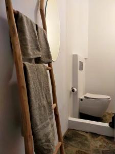 a bathroom with a towel rack and a toilet at Amorgos Elegant Houses, Villa 3 in Aegiali