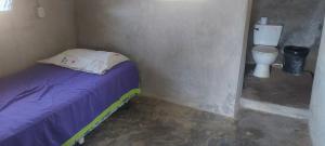 um pequeno quarto com uma cama e um WC em Hostal Pelican em El Gigante