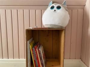 韋斯特維克的住宿－Mysigt hus för 2 familjer，一只塞满食物的猫正坐在书架上