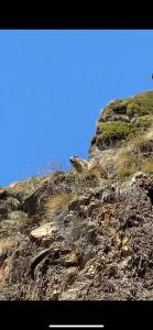 Φυσικό τοπίο κοντά σε αυτό το διαμέρισμα +50 φωτογραφίες