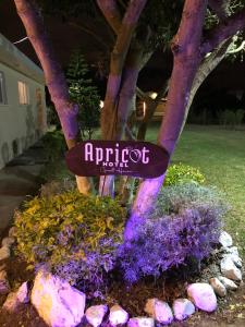 Giardino di Apricot Hotel
