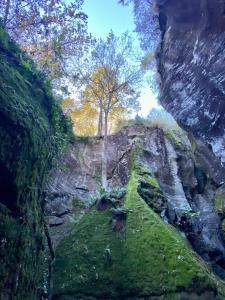 Φυσικό τοπίο κοντά σε αυτό το διαμέρισμα