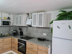eine Küche mit weißen Schränken und einem weißen Kühlschrank in der Unterkunft Casa Maria da Eira in Arcos de Valdevez