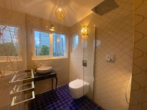 a bathroom with a shower and a toilet and a sink at Ashton View in Glasgow +21 photos