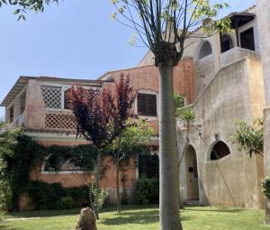 una vecchia casa con una palma nel cortile di Appartamento con terrazza Borgo San Basilio a Marina di Pisticci