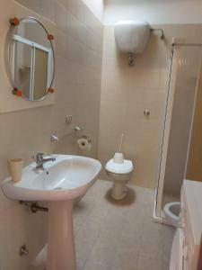 羅迪－加爾加尼科的住宿－case vacanze Rodi Garganico，一间带水槽、卫生间和镜子的浴室
