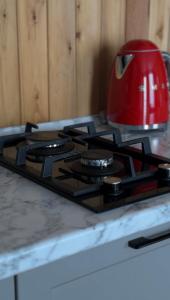 Fotografie z fotogalerie ubytování Alma house - White v destinaci Almaty