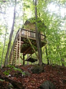 Maine Woods Treehouse-The Birdie في North Lovell: منزل شجرة في وسط الغابة